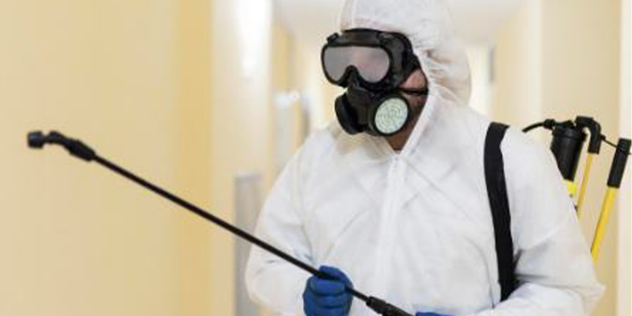 İzmir böcek ilaçlama