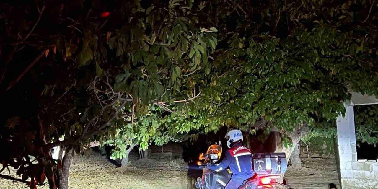 Germencik’te jandarma incir hırsızlıklarını önlemek için sahada