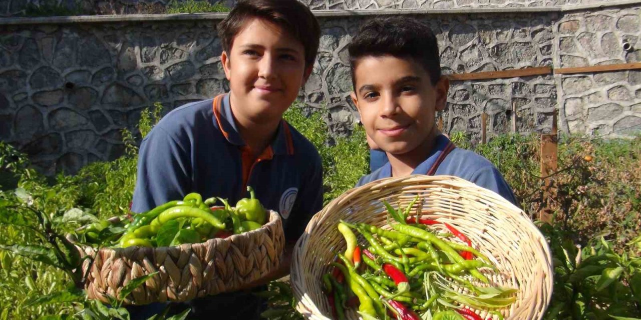 Minik eller, turşuyla büyük işlere imza atıyor