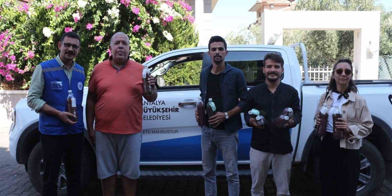 Yangınların ardından yeşil mücadele: Marmaris’ten Antalya’ya tohum desteği