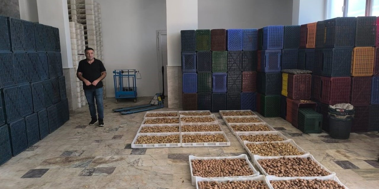 Köşk’te kuru incir depolarına sıkı denetim