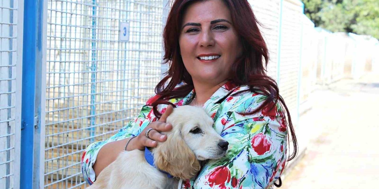 Büyükşehir’den sokak hayvanları için 244 bin metrekarelik yaşam alanı