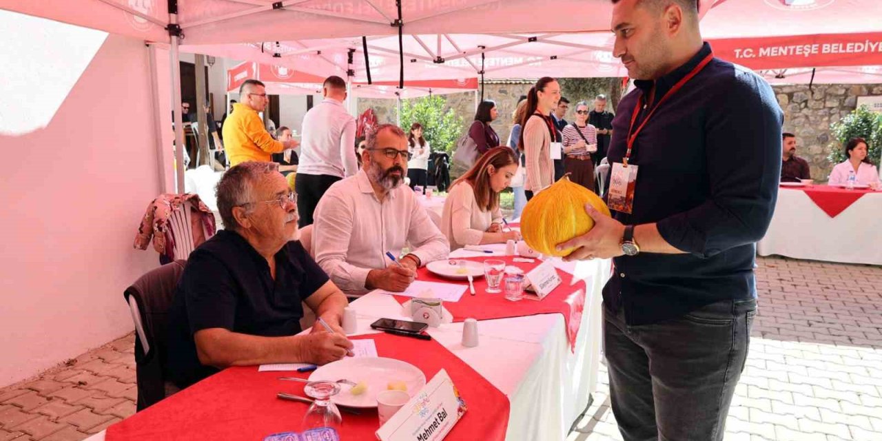 Yaylanın en iyi kavunları yarıştı
