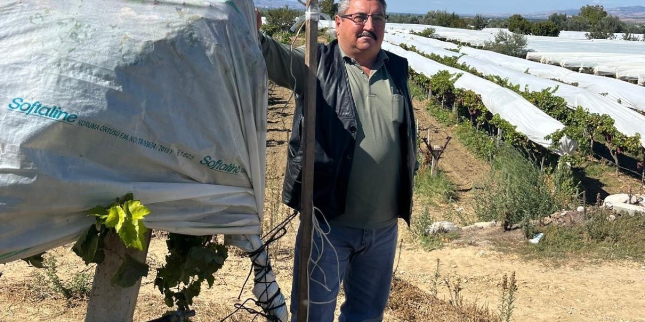 Üzüm bağını hırsızlara karşı kamera ile koruyor