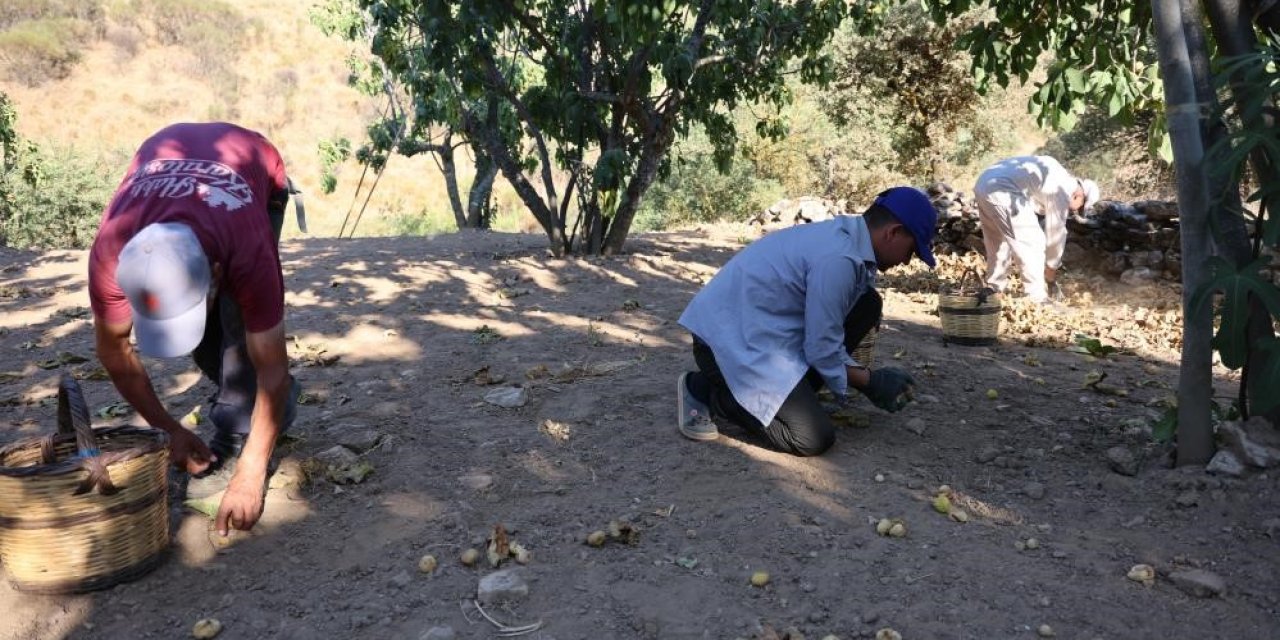 İncir üreticisi Aydın Ziraat Odası Başkanı Kendirlioğlu’na ateş püskürdü