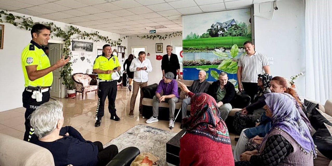 Aydın’da yaşlı çınarlara trafik eğitimi