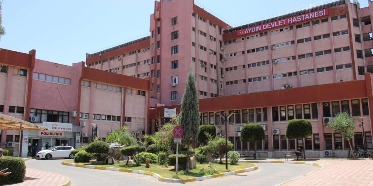 Aydın’da uyuz salgını