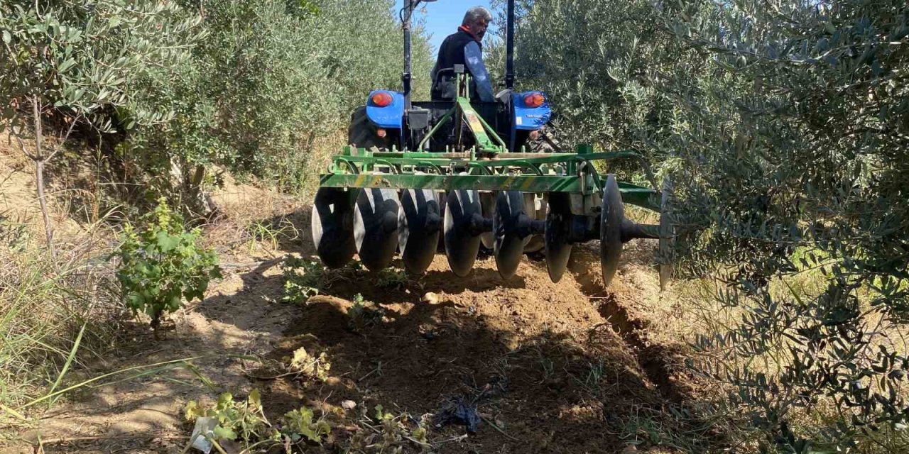 Alaşehir’de çiftçilerin yağmur sevinci