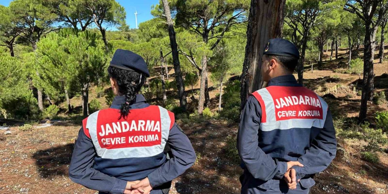 Bu çiçeği koparana 557 bin TL ceza