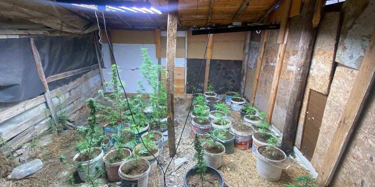 Zahir tacirlerinin kurduğu sistemi jandarma bozdu