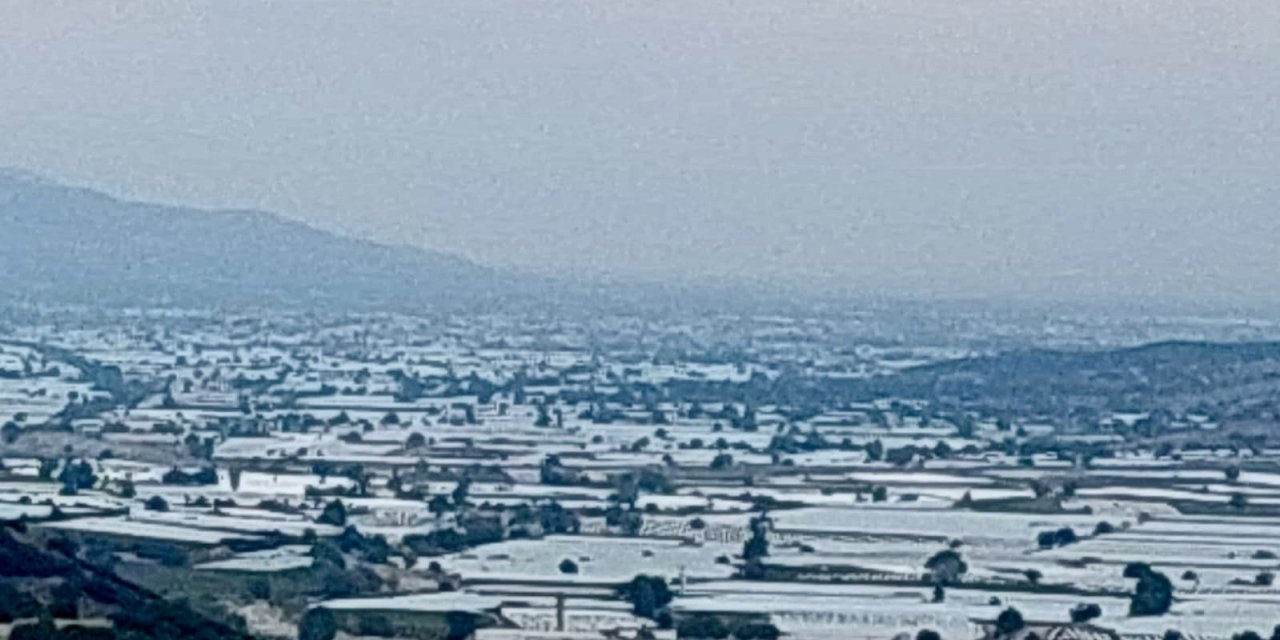 Sarıgöl’de üzüm üretici ihracatın hız kazanmasını bekliyor