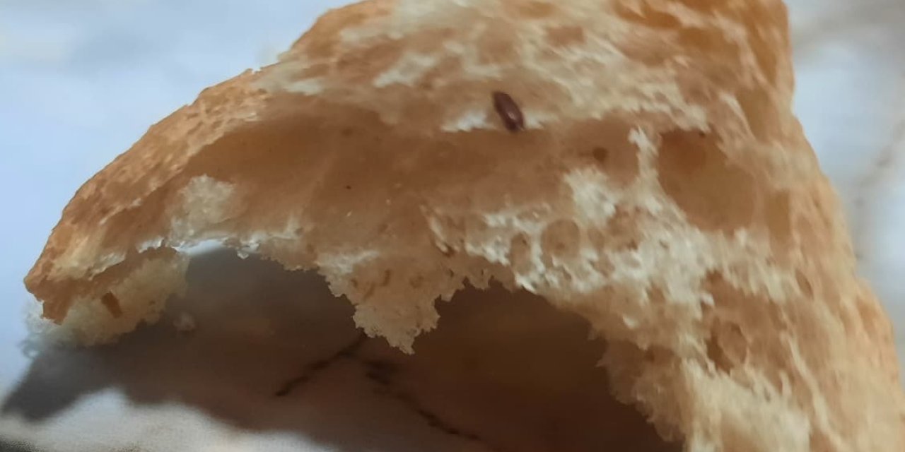 Pamukkale Halk Ekmek’in içerisinden çıkan fare dışkısı ve un kurdu yeni doğum yapan anneyi sütten kesti