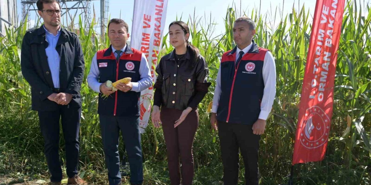 Denizli’nin toprakları organik maddelerle bereketleniyor