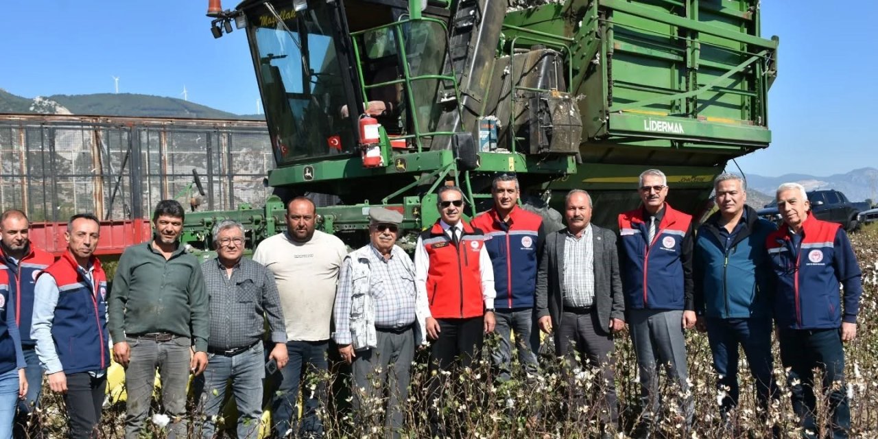 Söke Ovası’nda pamuk hasadı sürüyor