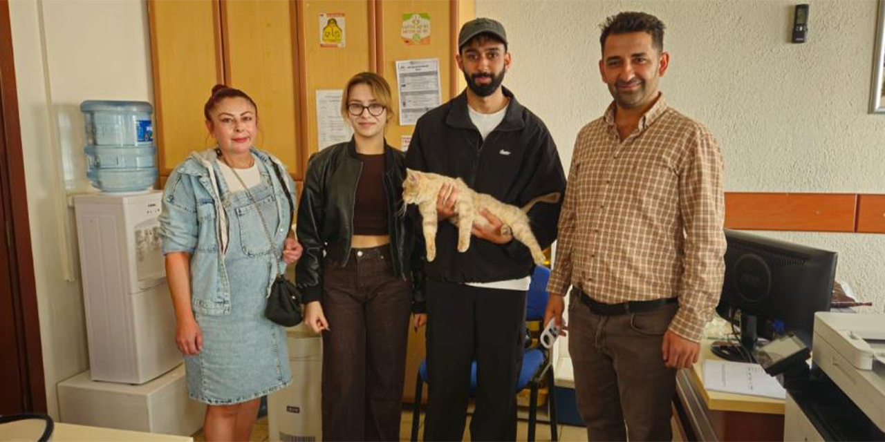 Çip sayesinde kayıp kedi kısa sürede sahibine kavuştu