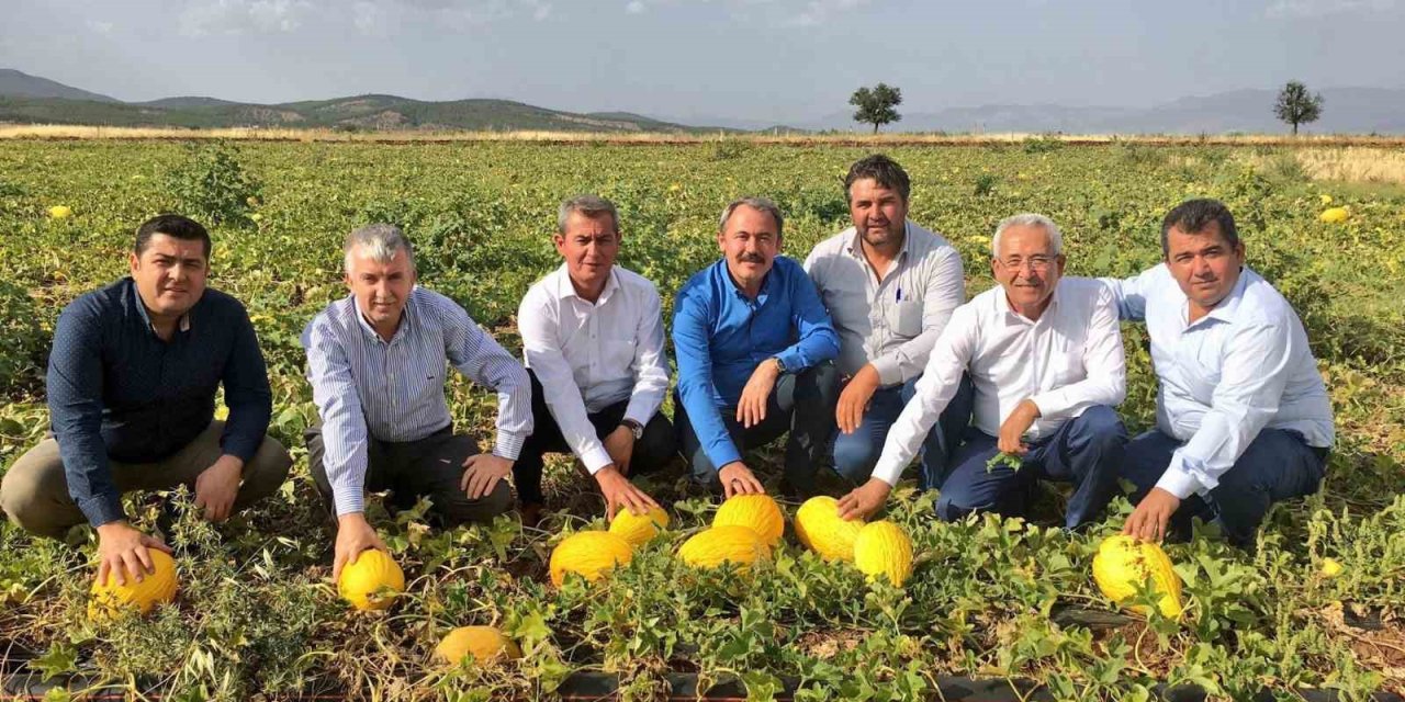 Tezgahlarda 10 liraya satılan Acıpayam kavunu tescillendi