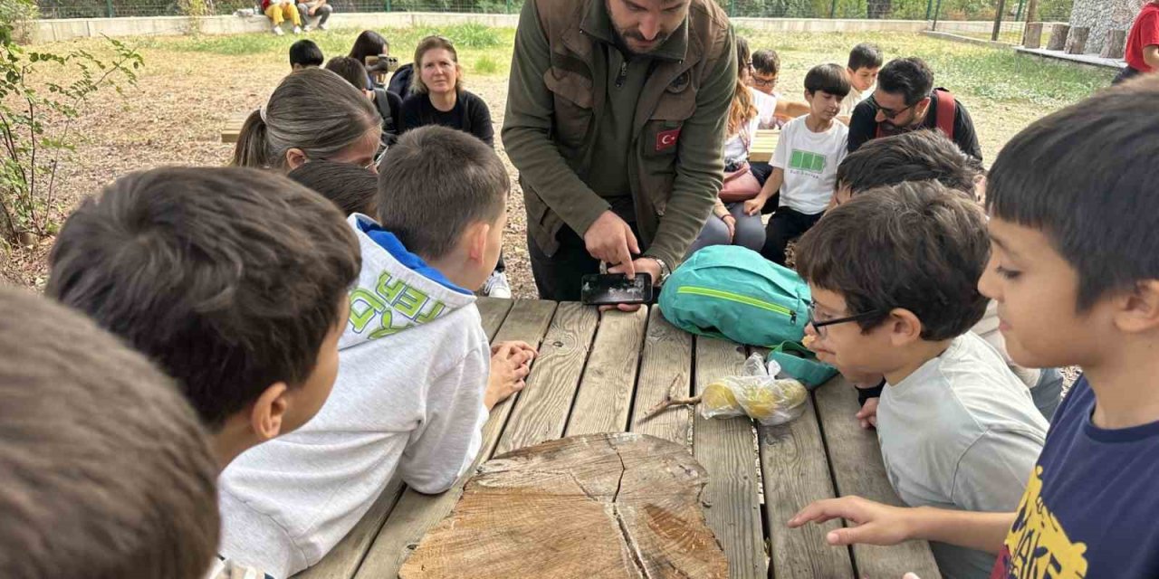 Öğrenciler yaban hayatını yakından tanıdı