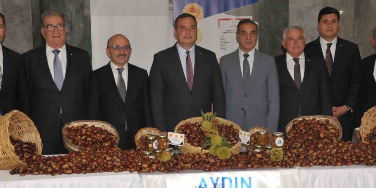 AB tescilli Aydın kestanesinde 2025 sezonu açıldı