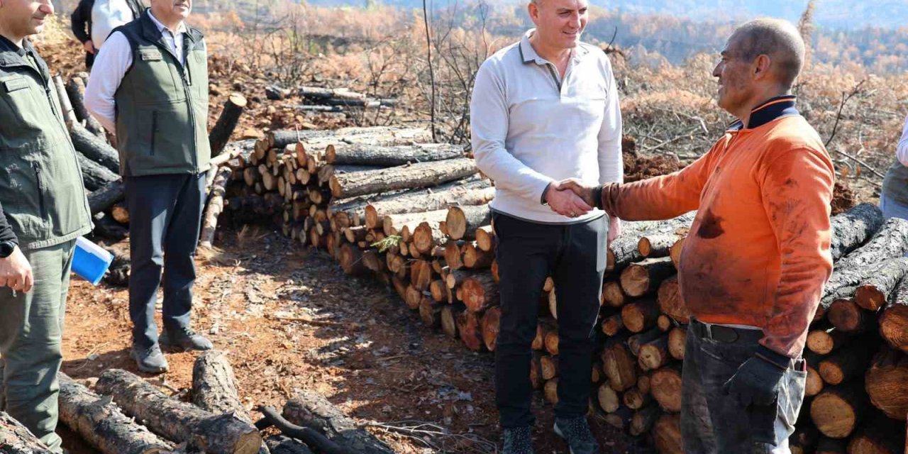 Köyceğiz’de yanan sahalar fidan dikimi için hazırlanıyor