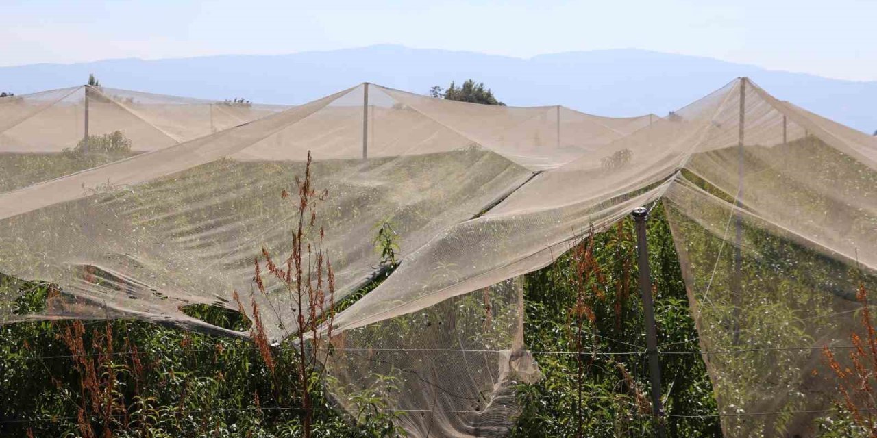 Çiftçilerin doğal sigortası file sistemi oldu