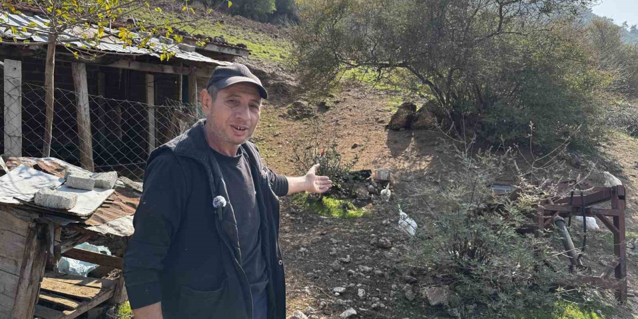 CİMER’e yapılan ’İnek ve tavuklar serbest dolaşıyor, salgın hastalık riski var’ şikayeti bölge sakinlerini şaşkına uğrattı