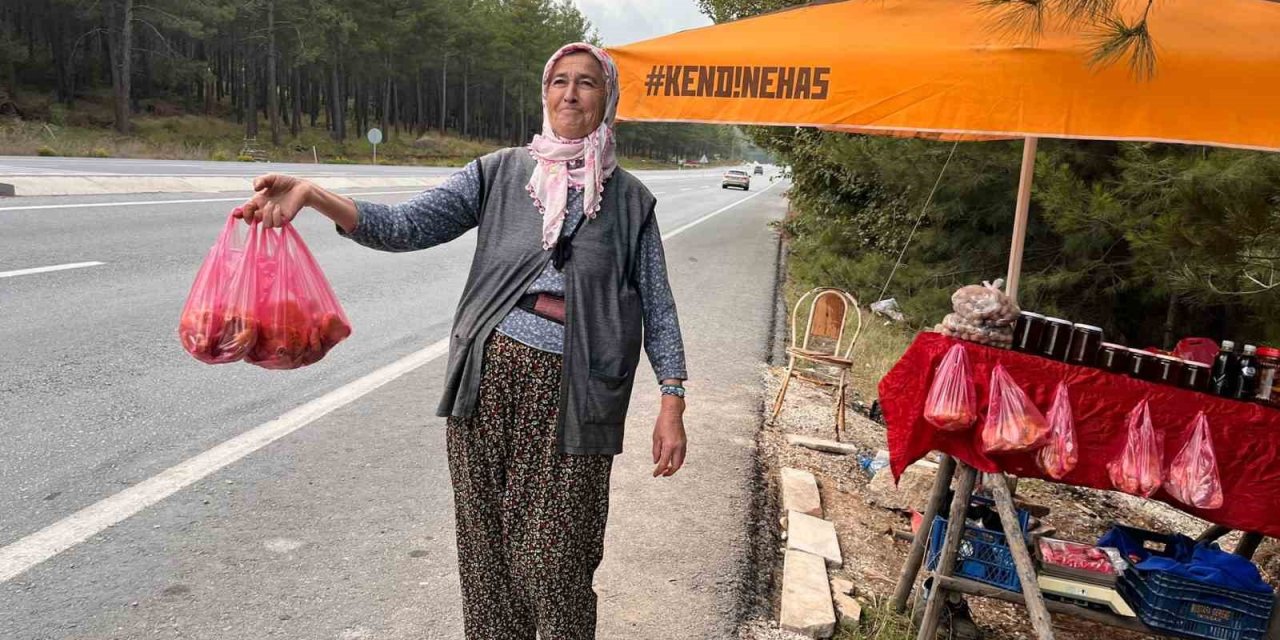 Muğla’da çıntarlar tezgahtaki yerini aldı