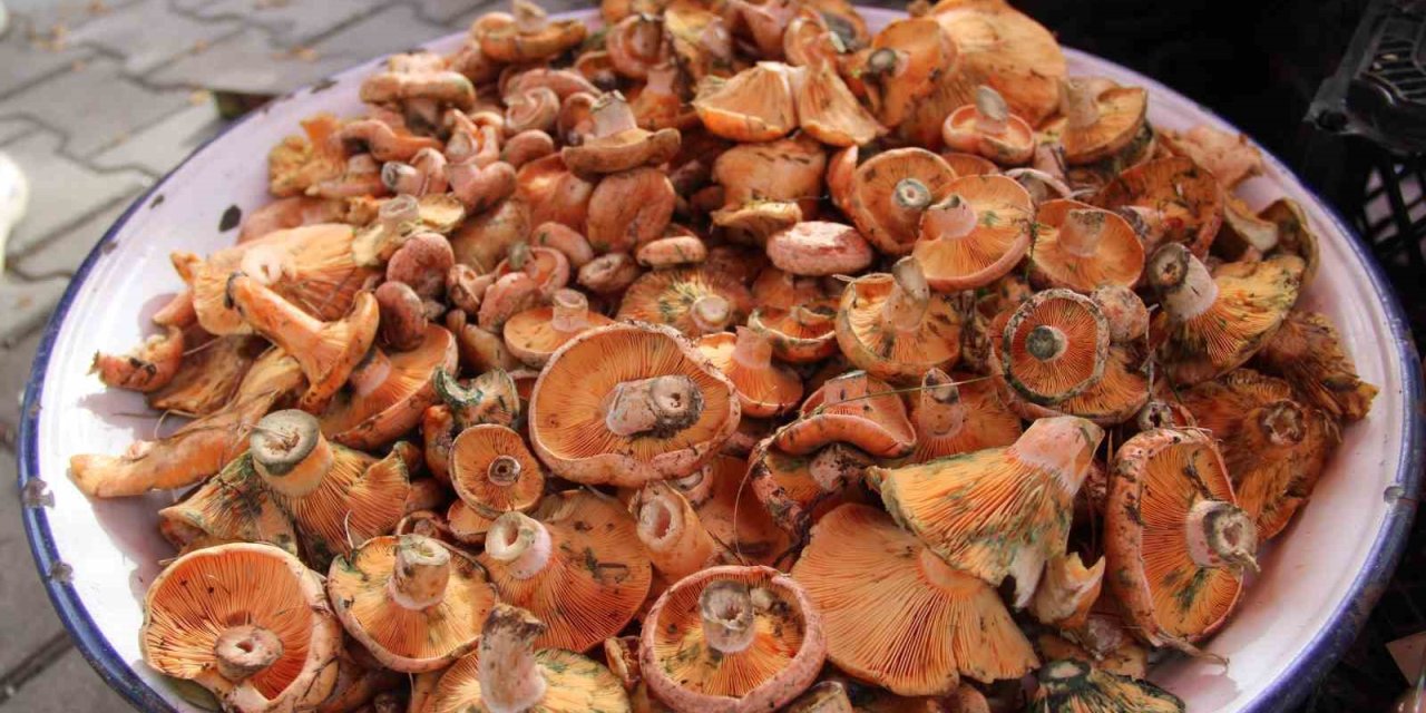 Çıntar pazar tezgahlarında yerini aldı