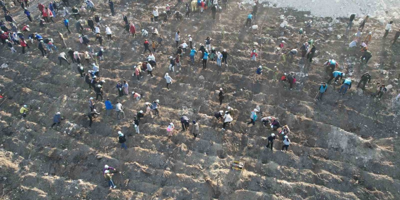 Manisa’da binlerce fidan toprakla buluşacak