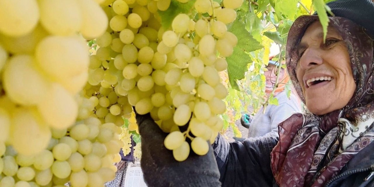 Ekim ayı bitiyor, üzüm bitmiyor