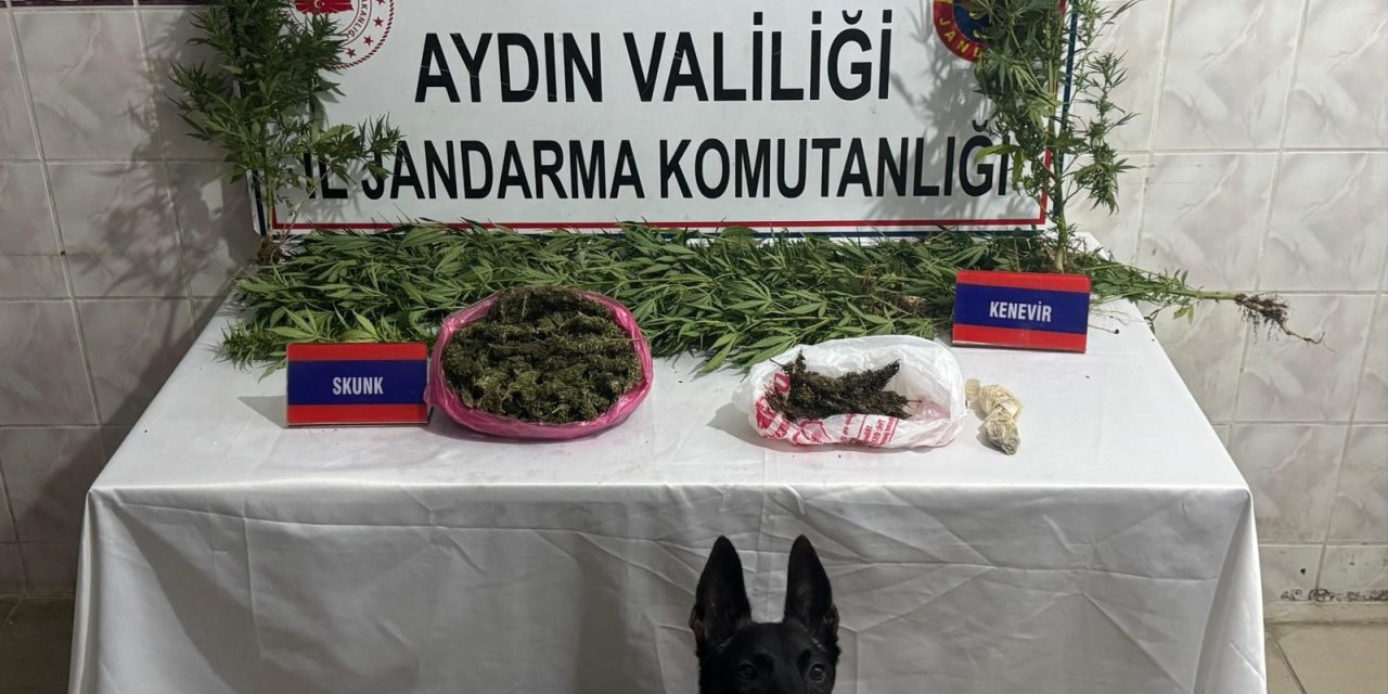 Uyuşturucu satıcısının evinde 498 gram skunk ele geçirildi