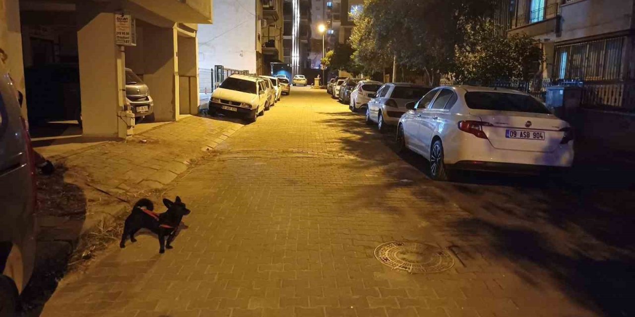 Balıkesir’deki deprem Aydın’da da hissedildi