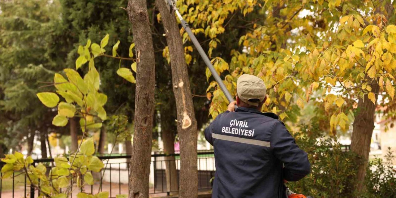 Çivril Belediyesi budamayla hem tehlikeyi önlüyor hem de ağaçların ömrünü uzatıyor
