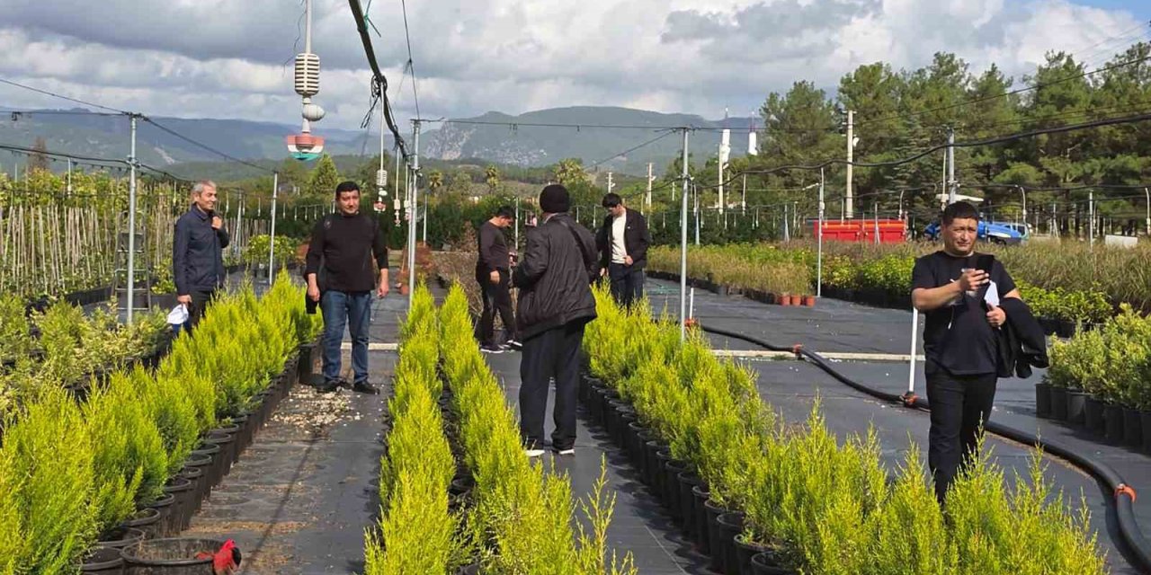 Özbek ormancılar Muğla’da incelemelerde bulundu