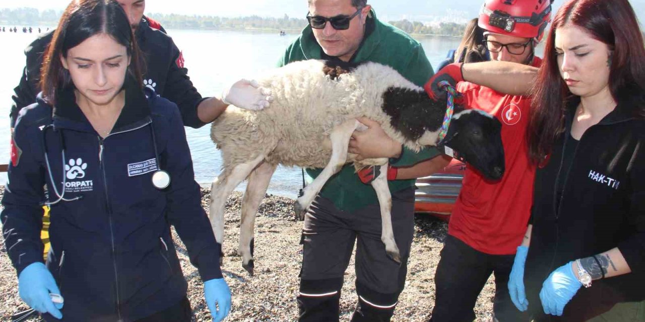 Sel felaketi riski taşıyan İzmir’de AFAD’dan tatbikat