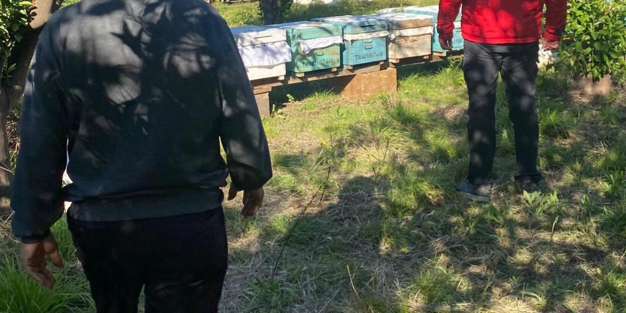 Ortaca’da arılı kovan desteklemeleri devam ediyor