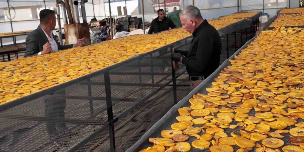 Honaz’ın meşhur cennet hurması bu kez cips olarak damakları şenlendirecek