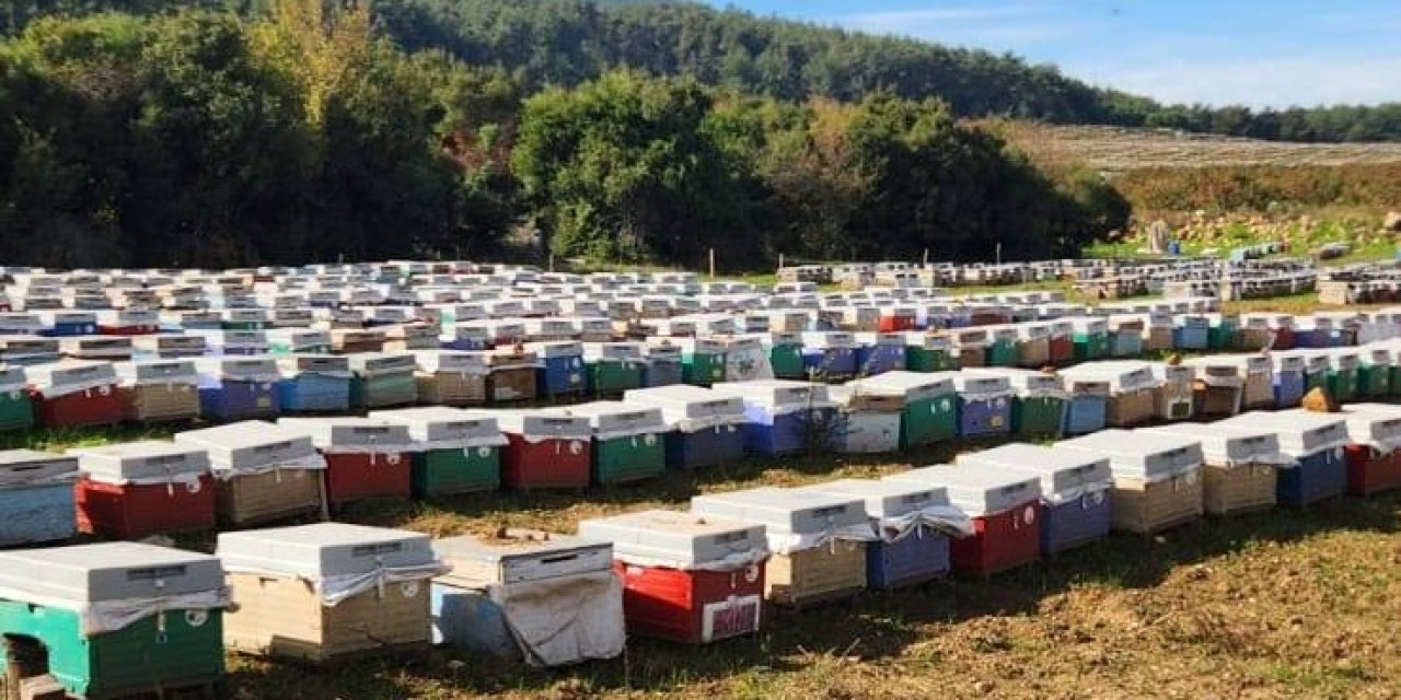 Söke’de arılı kovan tespiti yapıldı