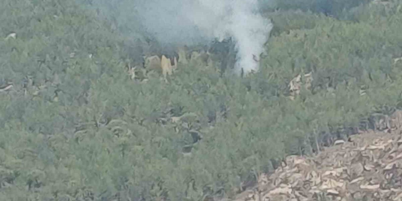 Kavaklıdere’deki orman yangını kontrol altına alındı