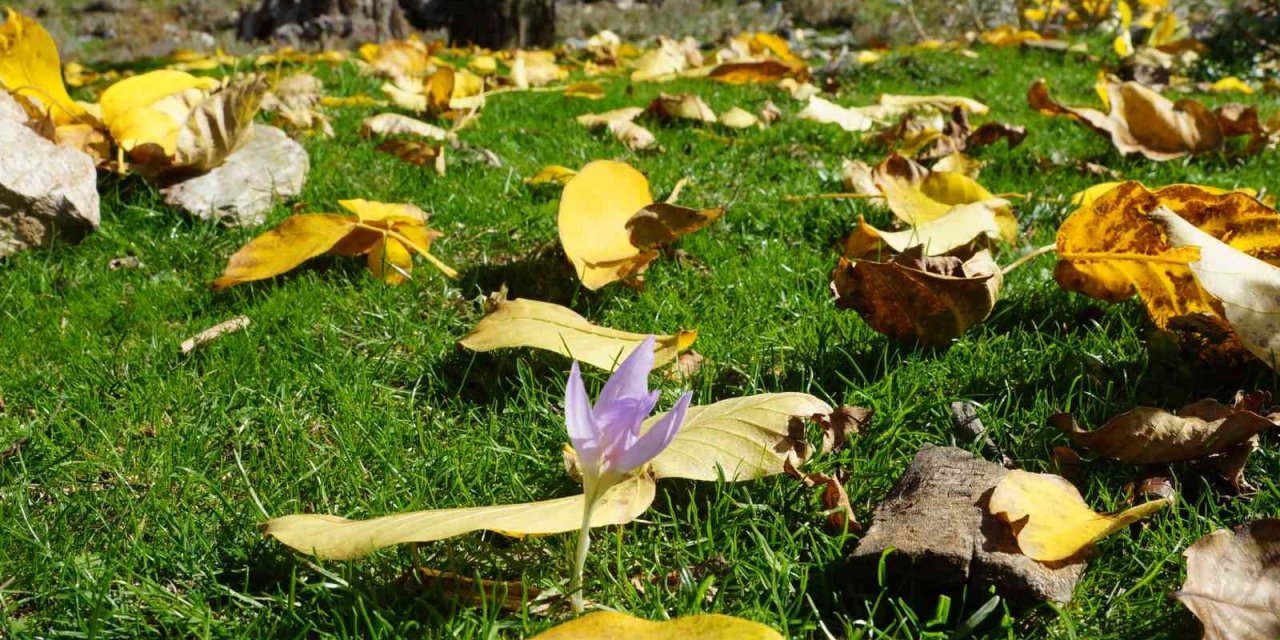Aydın dağları sonbahara kucak açtı