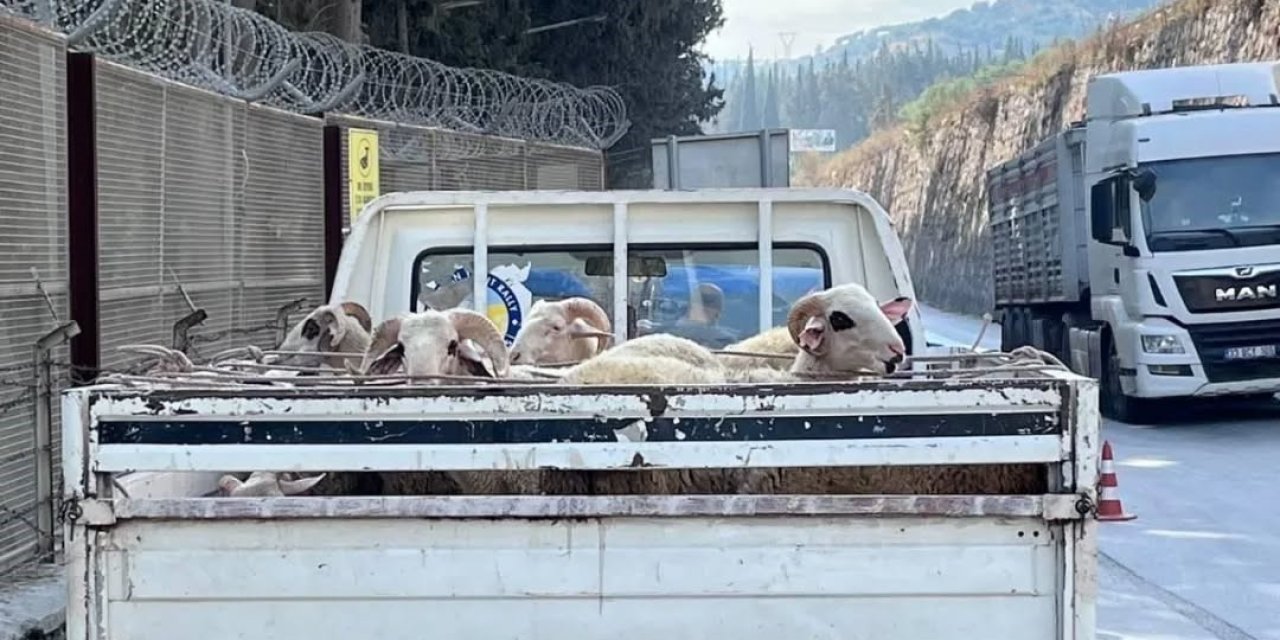 Hayvan hastalıkları ile mücadelede yol kontrolleri devam ediyor