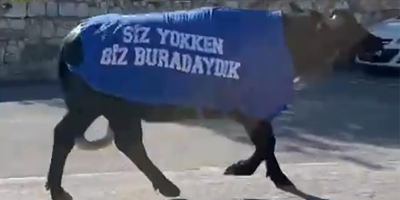İzmir’de manda protestosu: “Siz yokken biz vardık”