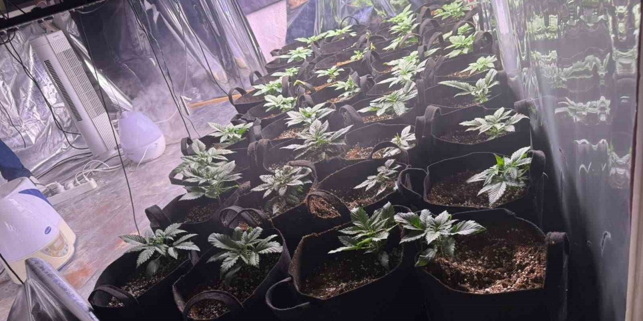 İzmir’de uyuşturucu operasyonunda 1 tutuklama