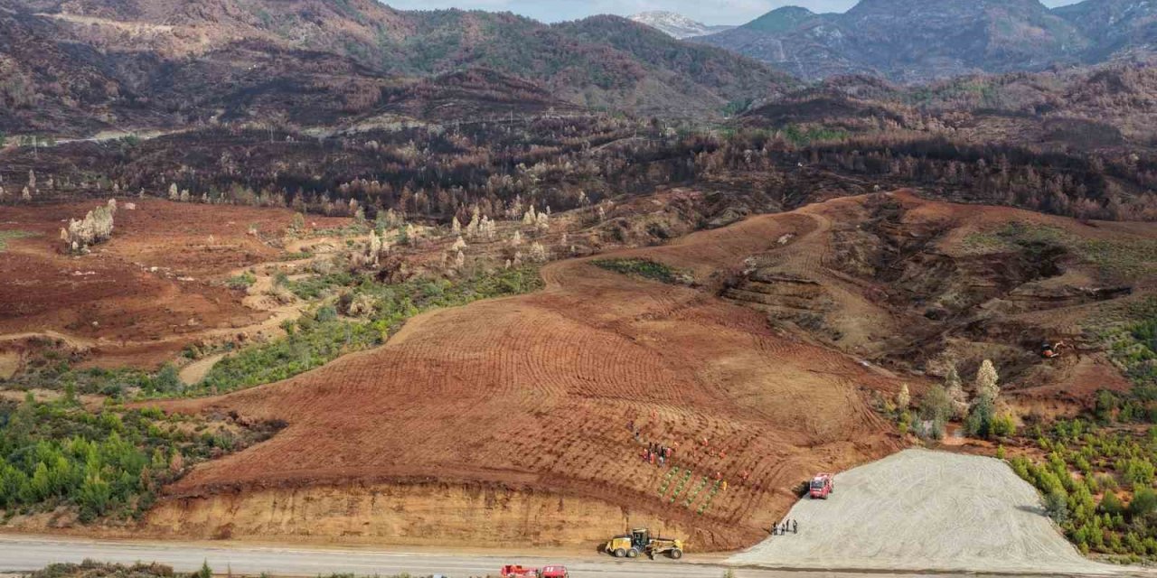 Aydın’da 17 lokasyonda fidan dikilecek