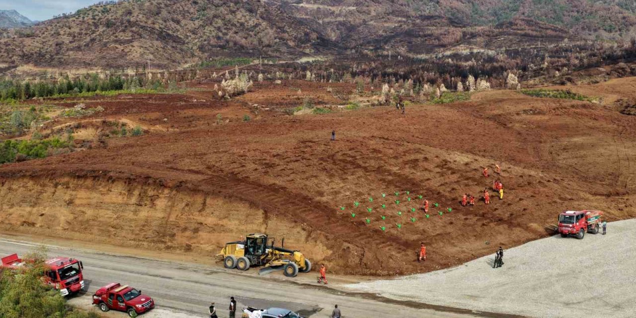 Muğla Orman Bölge Müdürlüğü ‘Yeşil Vatan’ seferberliğine hazır