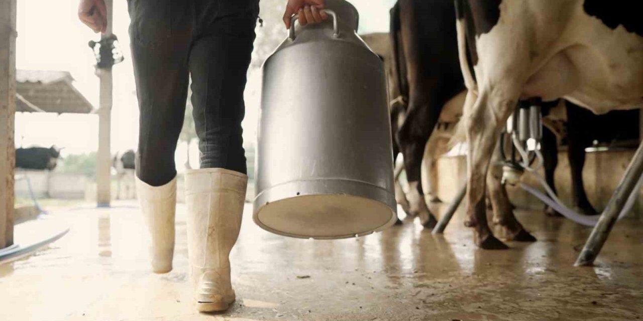 Aydın’da 9 bin 543 üreticiye toplam 66 milyon TL ödeme yapılacak