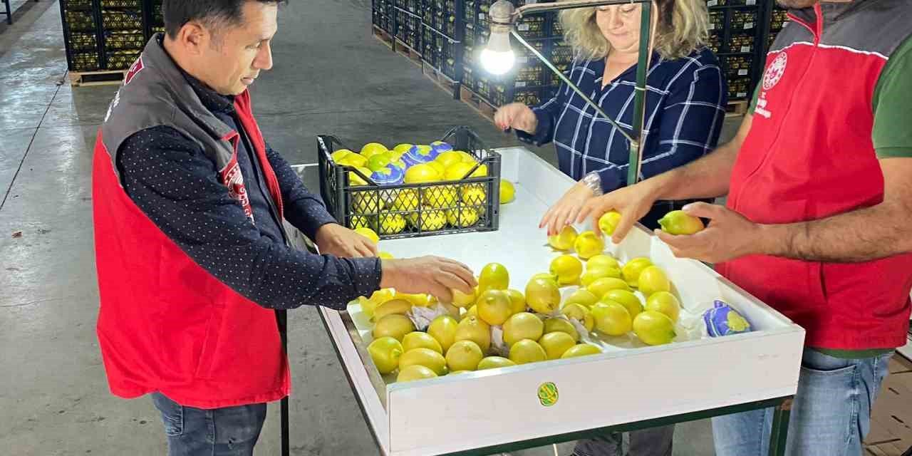 Ortaca’da ihracata giden ürünlere onay