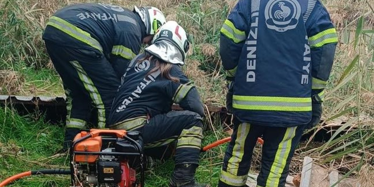 Fosseptik çukuruna düşen köpek kurtarıldı