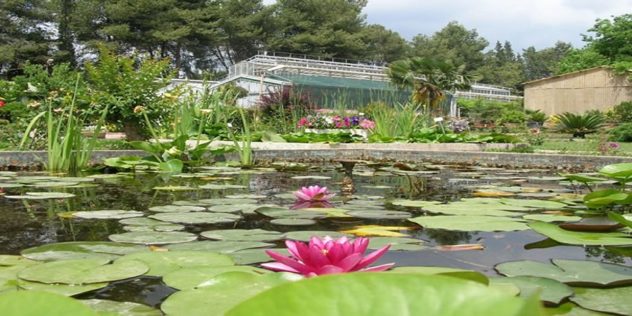 Ege Üniversitesinin endemik tür cenneti: Botanik Bahçesi