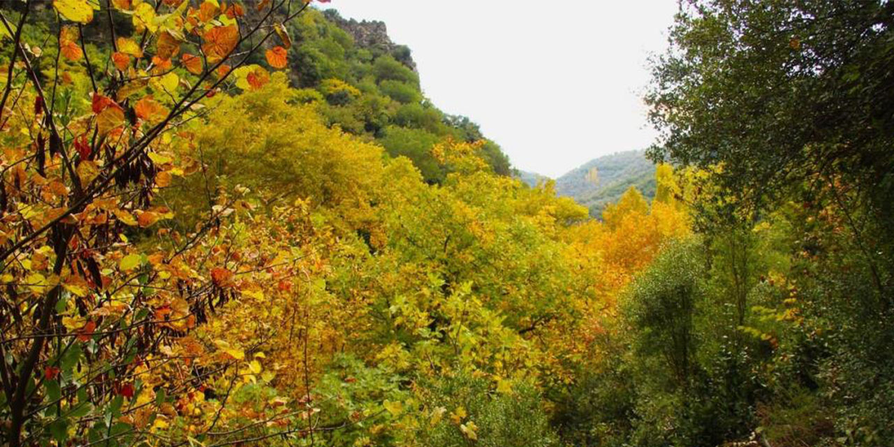 Koçak Kanyonu için “Tabiat Parkı” çağrısı