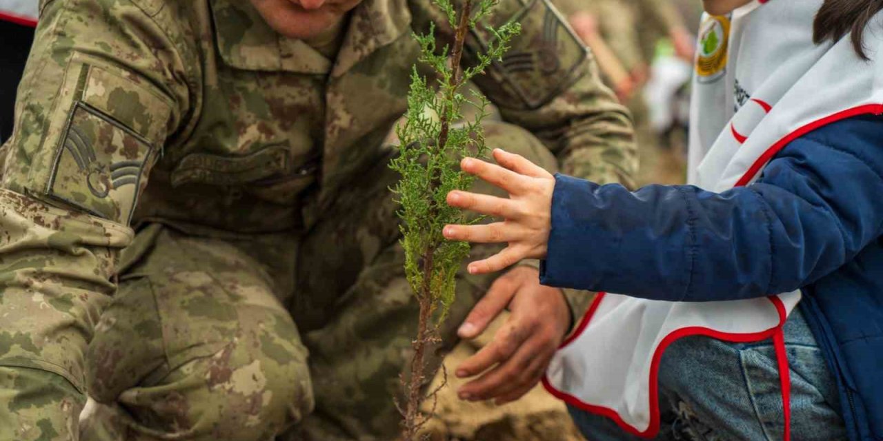 Yangında küle dönen ormanları minik eller yeşertecek